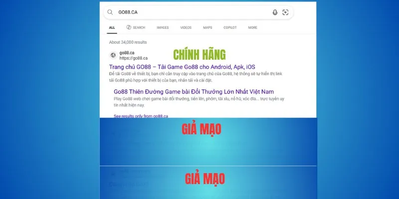 Nhận diện thương hiệu Go88 thật – go88.com và go88.ca là chuẩn mực 3 Vì sao các miền khác rất có thể là giả mạo